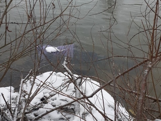 В Йошкар-Оле на плотине обнаружили тело женщины