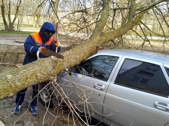 В калмыцкой столице от штормового ветра пострадали… автомобили