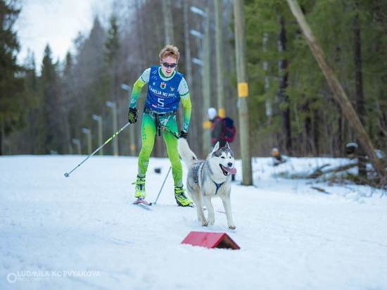 Фестиваль "Karelia SkiFestDOG" состоялся