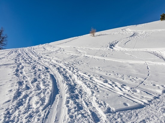 Для тульских юнармейцев приготовили лыжное испытание