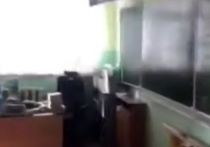 Кошмарный случай в Ульяновске - школьник прямо на уроке ударил ножом учительницу математики