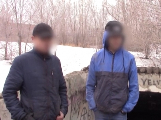 Арестованы саратовские школьники, подозреваемые в подготовке к массовым убийствам