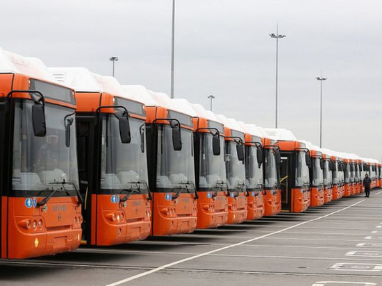 В России насчитывается более 300 тысяч автобусов