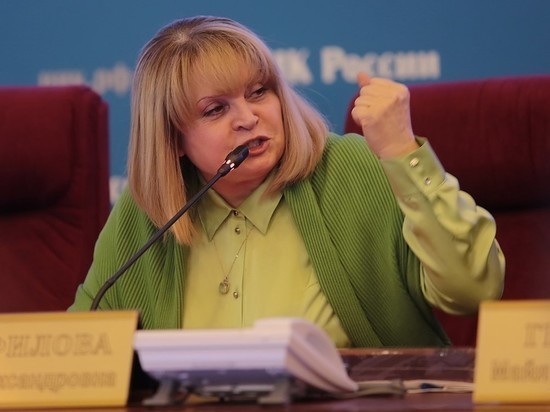 Памфилова предложила наказывать мешающих голосованию по Конституции