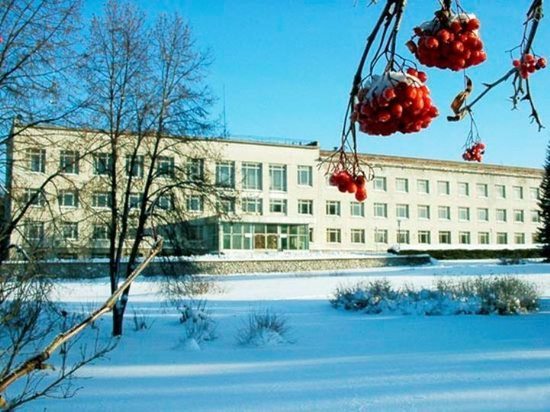 Экстремалы на плюшках снесли забор ботсада СО РАН в Новосибирске