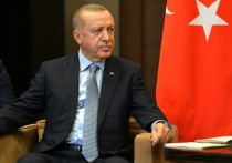 Русско-турецкая война пока отменяется: Владимир Путин и Реджеп Эрдоган все-таки нашли время поговорить по телефону и обсудить ситуацию в Идлибе