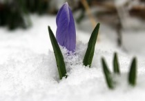 В Забайкальскому крае 1 марта ожидается 1-6°, местами 6-11°  мороза