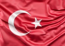 Начало войны Турции с Сирией на фоне эскалации ситуации в Идлибе стало ловушкой для Анкары и турецкого лидера Тайипа Эрдогана, говорится в решении ЦИК турецкой партии Vatan («Родина»)