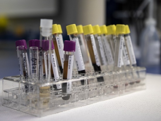 Ученый поведал о новом открытии: способность помнить передается через кровь