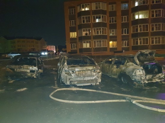 В Рязани сожгли машину известного журналиста
