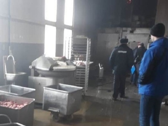 Нелегальные узбеки работали в тарусском мясном цеху