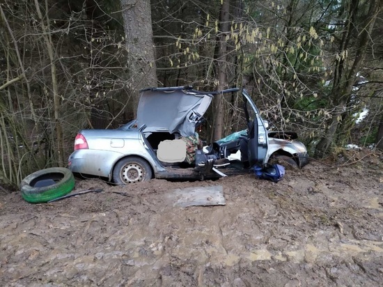 Под Калугой водитель "Лады" погиб после столкновения с деревом