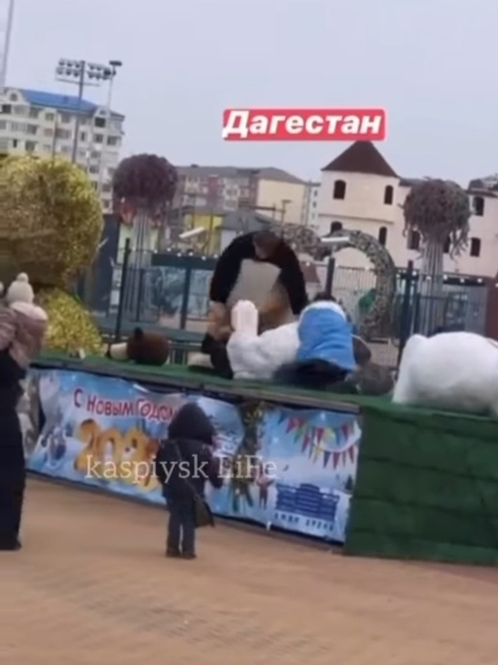 В Дагестане ростовые куклы устроили "бои без правил"