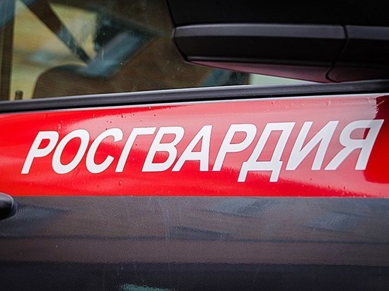 Жительница Брянска украла в магазине куртку