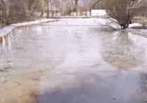 Настоящей экологической катастрофой называют жители деревни Язово, что в Новой Москве, отравление двух местных прудов нефтепродуктами