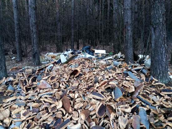Лес на окраине Калуги засыпали промышленным мусором