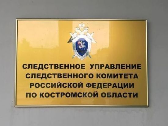 В Костромской области полиция задержала мужчину похитившего 8-летнюю девочку
