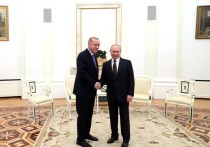 Владимир Путин напомнил Реджепу Эрдогану, что в Идлибе погибли не только турецкие военнослужащие, чье место дислокации никому не было известно, но и сами сирийцы, которые воюют с боевиками на своей земле