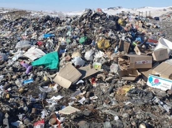 Завод по переработке мусора построят в Оловяннинском районе