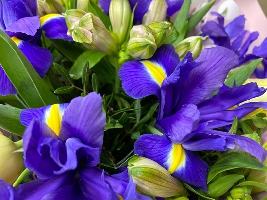 Тульские санитарные врачи рекомендуют перед покупкой обратить внимание на внешний вид цветка