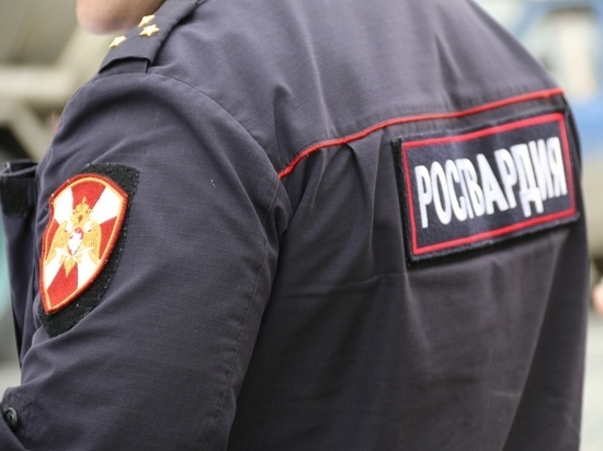 В Брянске задержали двух дебоширов