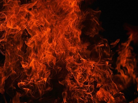 Туши болевших сельхозживотных сжигают на покрышках в Забайкалье