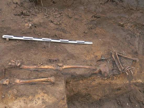 Останки красноармейца откопали в Твери