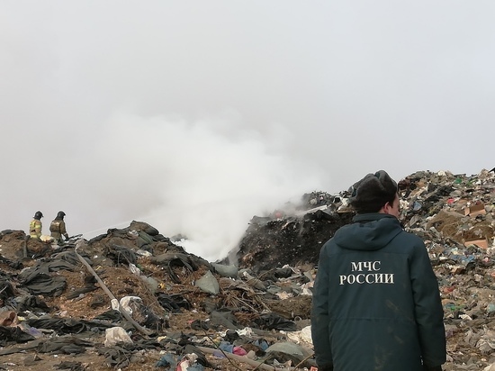 Поджог стал предварительной причиной пожара на полигоне в Ивановке