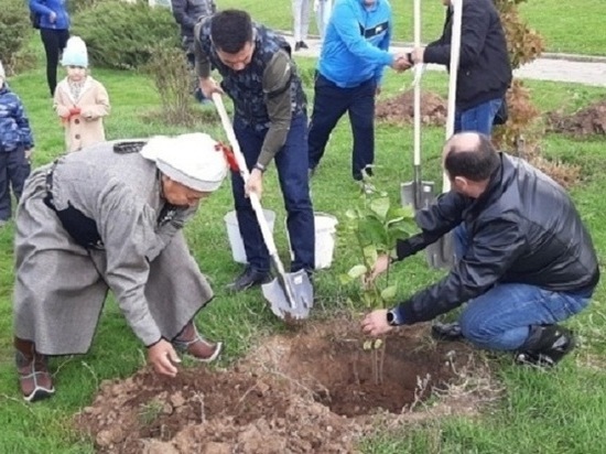 В калмыцкой столице появится «Сад памяти»