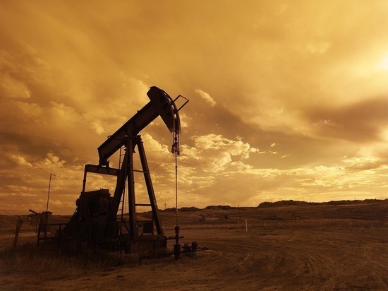 Цена нефти выросла на 10% после обвала