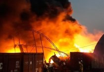 Количество пожаров в столице в прошлом году увеличилось почти вдвое по сравнению с 2018-м, а спасенных оказалось больше на 12%