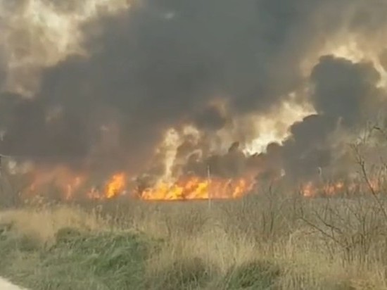 Опубликовано видео крупного ландшафтного пожара на Кубани