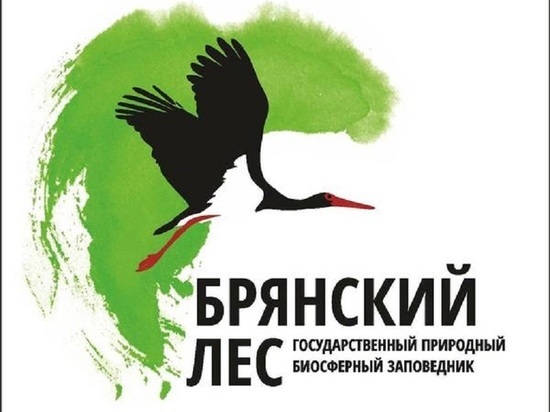 Волонтеров ждут в заповеднике «Брянский лес»