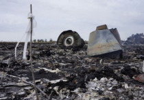 Автор книги "MH17, Украина и новая холодная война" профессор Кейс ван дер Пейл прокомментировал судебное заседание по делу о крушении малазийского боинга в небе над Донецком