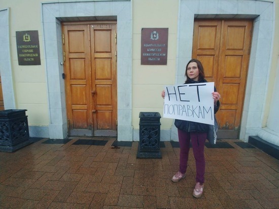 НРО «Яблоко» 12 марта провело пикеты у здания ЗСНО