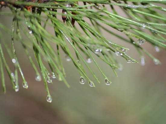 Сегодня: что будет происходить в Карелии в пятницу, 13 марта