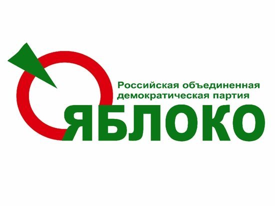 В Иванове прошел пикет против поправок в Конституцию