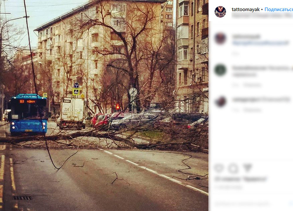 Москву накрыл ураган: фото последствий разгула стихии
