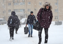 Холодная погода и сильный ветер продержатся в Москве до конца следующей недели