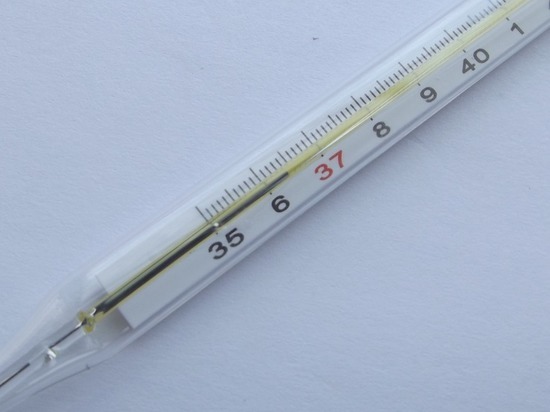 У нижегородских школьников будут измерять температуру