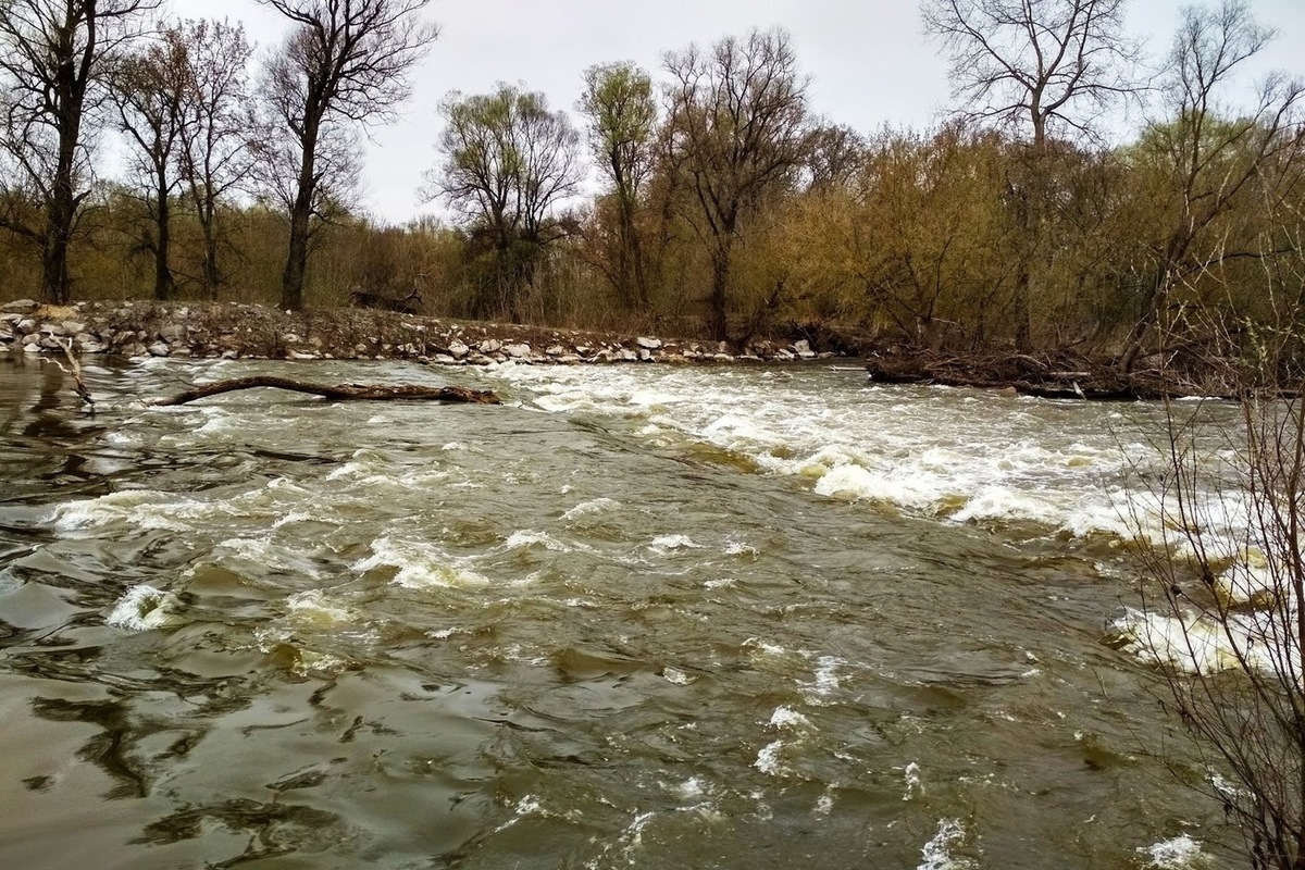 Вода в сейме. Клевень (река). Река Сейм Путивль.