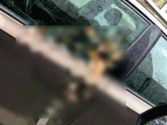 В Казани за неправильную парковку машину испачкали фекалиями