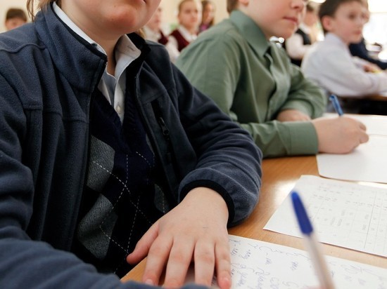 Школьникам Петербурга предложили перейти на дистанционное обучение