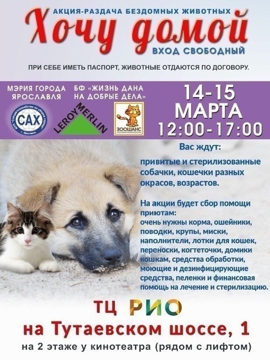 В Ярославле в ТРЦ «РИО» раздают друзей