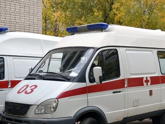 Три пассажира пострадали в результате ДТП в Новосокольническом районе