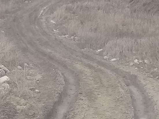 В Ясногорском районе жители сами прокладывают дороги