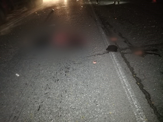 Два автомобиля насмерть переехали женщину в Касимовском районе
