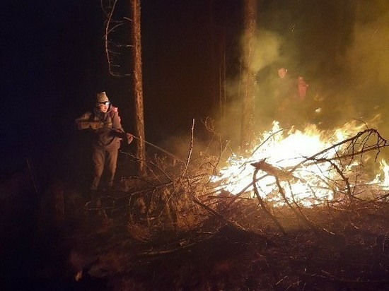 Добровольцы за ночь потушили 3 пожара и 2 пала в Забайкалье