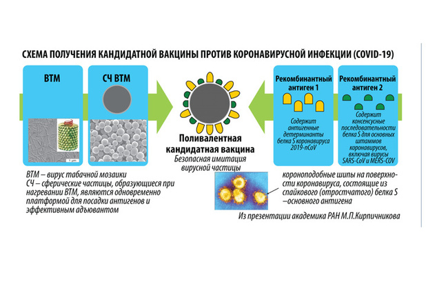 "Бессмысленно вакцинировать от коронавируса заболевших"