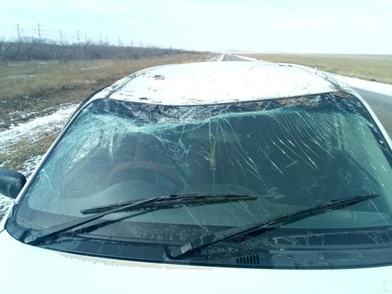 Водитель Toyota пострадал в ДТП на трассе Чита-Забайкальск